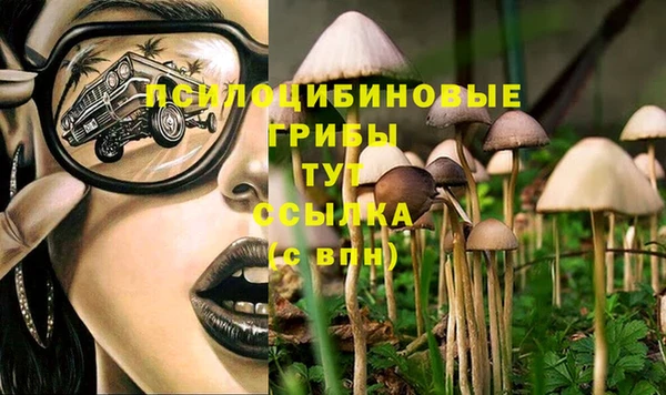 ПСИЛОЦИБИНОВЫЕ ГРИБЫ Беломорск