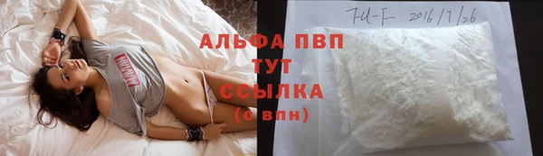 ПСИЛОЦИБИНОВЫЕ ГРИБЫ Беломорск