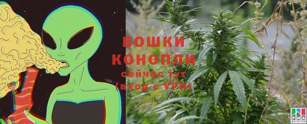 ПСИЛОЦИБИНОВЫЕ ГРИБЫ Беломорск